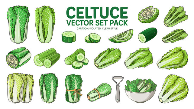 Celtuce vegetables and cucumbers in cartoon style for graphic design  various types and cuts