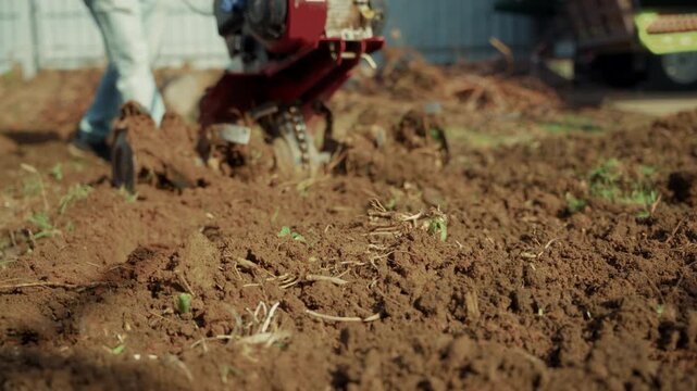 Motor cultivator digging and turning backyard garden soil