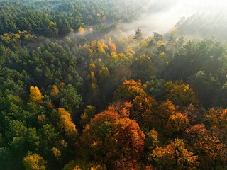 Jesień © zenekw
