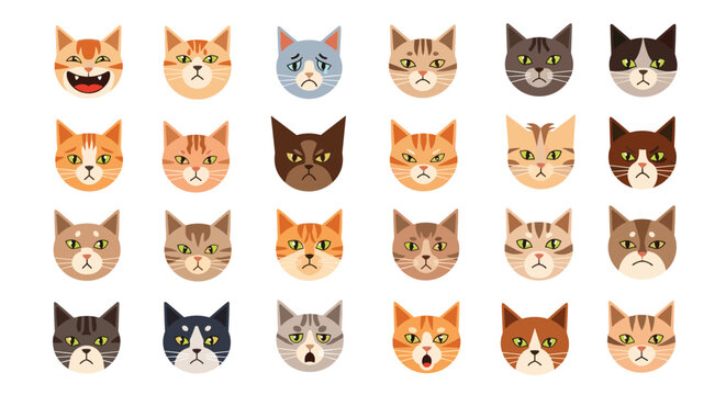 Array of cat head illustrations with various breeds, colors, and emotional expressions like happy, sad, angry, and surprised for pet lovers and icons.
