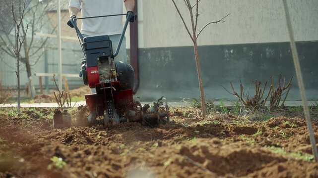 Man cultivating soil with motor tiller in backyard