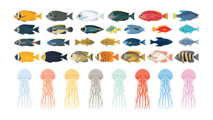Aquatic Diversity: A vibrant collection of colorful fish and translucent jellyfish, showcasing the beauty and variety of marine life. © Murshida