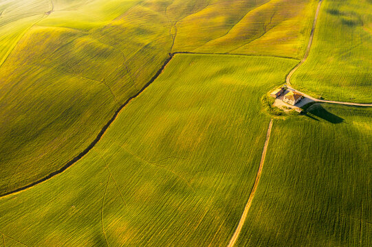Vibrant green rolling fields and a traditional farmhouse captured from an aerial perspective under golden light, representing a serene tourism destination in Orcia valley, Pienza, Tuscany, Italy.