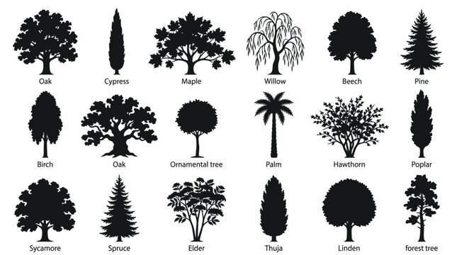 Collection of various tree silhouettes with labeled names.