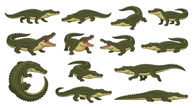 Set of cartoon alligator characters in various poses and actions.
