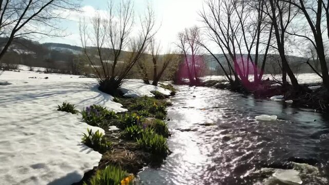 Springtime scene of a flowing river with patches of snow and blooming flowers under a bright sunny sky