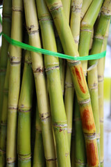 Obraz premium Fresh sugarcane stalks ready for making sweet juice.