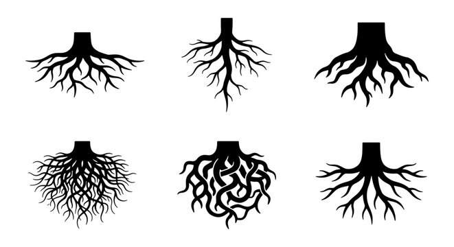 Diverse Tree Root Systems Vector Set, Organic Growth and Stability Icons, Black and White Botanical Illustrations for Nature and Science Concepts