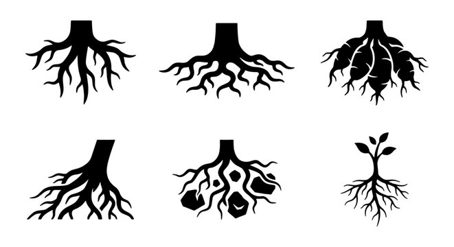 Diverse Tree Root Systems, Organic Growth Icons, Plant Foundation Silhouettes, Natural Structure Vector Set