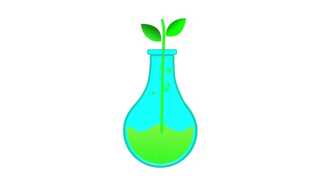 Scientific animation showing a plant seedling growing in a laboratory flask and a diagram illustrating the chemical structure of a water molecule on a white background.