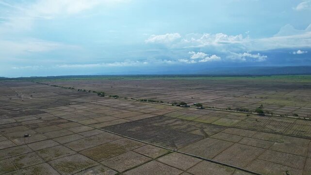 Aerial drone footage of a huge rice field flat valley area in Rata Bena, South Central Timor regency, Indonesia, with the road between Oetune and Kupang, dry fields, dark cloudy weather