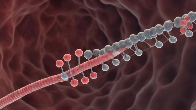 Close-up 3D microscopic view of sliding actin and myosin filaments in contracting muscle fiber, with pulsating movement and intricate molecular