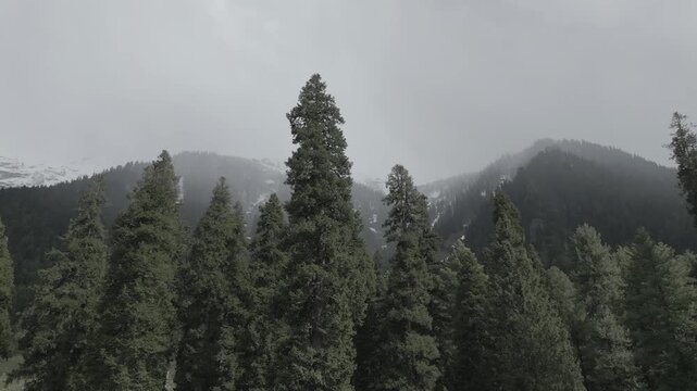 Aerial view of Pahalgam pine forest and Himalayan mountains in Kashmir India