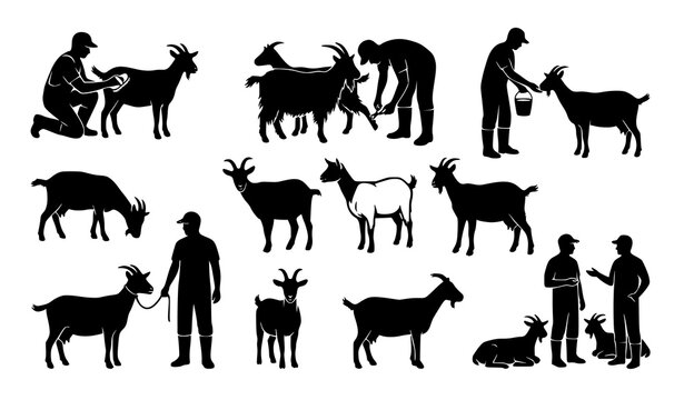 Goat grooming silhouette set with farmers and farm animal care vector illustration