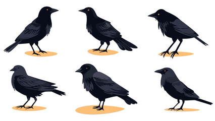Naklejka premium Black cute creepy crow character animation, cartoon flat style