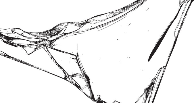 pterodactyl wing sketch black and white illustration on white background