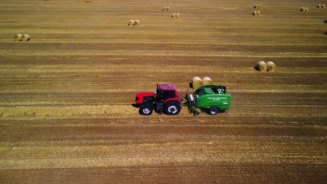 Aerial tracking of a red tractor with a baler working in a field. Mechanical collection and pressing of straw into bales for cattle feed. Agricultural work after the grain harvest. Modern agriculture.