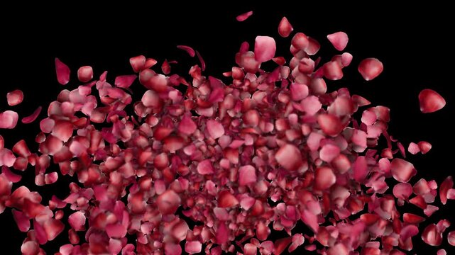 Romantic Bloom Fountain with Alpha Channel