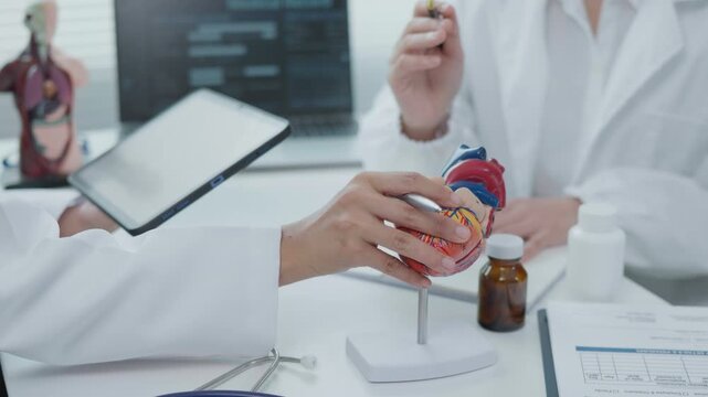 Cardiovascular Examination Medical Office Educational Session Clinical Environment Close-Up View Health Awareness