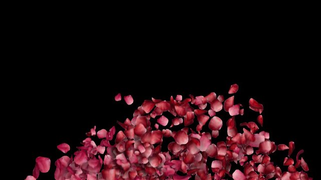 Elegant Petal Heart Motion Graphics