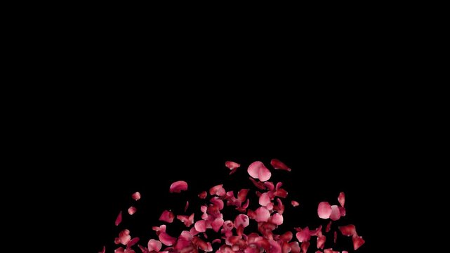 Romantic Floral Heart Transition Overlay