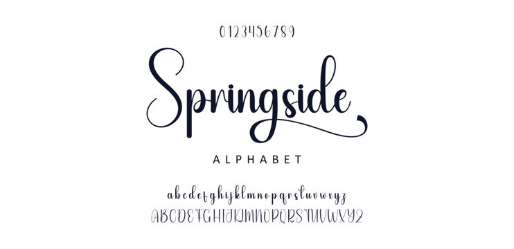 signature Font Calligraphy Logotype Script Brush Font Type Font lettering handwritten. Minimal modern urban fonts for logo, brand etc. Typography typeface uppercase lowercase and number. vector