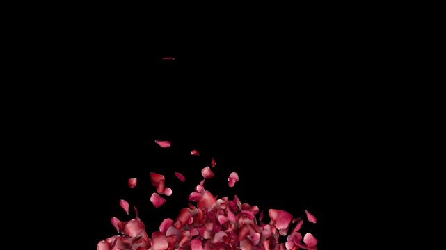 Red Rose Petals Creating Heart Shape