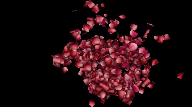 Wedding Love Heart Animation Background