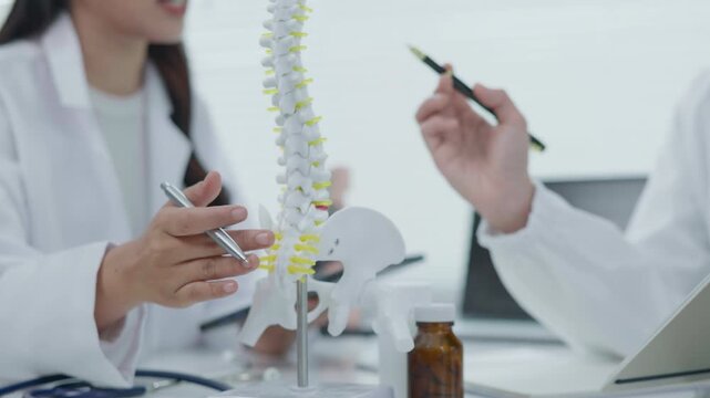 Medical Consultation for Spine Health Clinic Setting Informative Session Professional Environment Close-Up View Backbone Doctor Concept