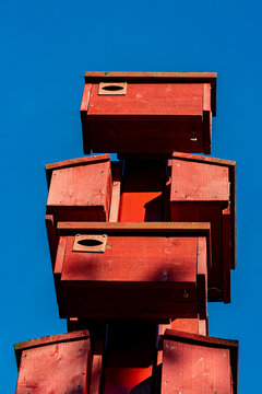 Stockholm, Sweden Large red wooden birdhouses in a park.