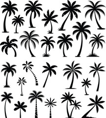 Fototapeta premium Diverse silhouettes of palm trees with varying heights and trunk shapes palm tree black and white