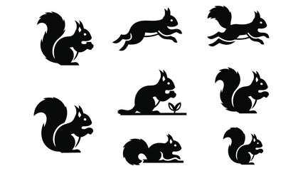 Fototapeta premium Set of squirrel vector silhouette icons in various poses.