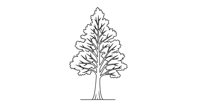 Tree icon, line art tree, black and white illustration, single tree, minimalist design isolated on White Background