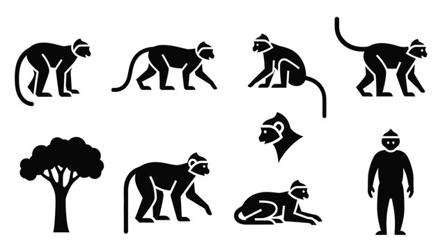 Primate evolution silhouette collection including monkeys and human figures on white background.