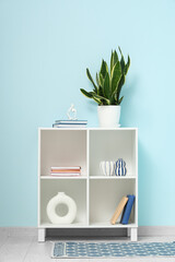 Stacks of books, houseplant and decor on shelving unit near blue wall