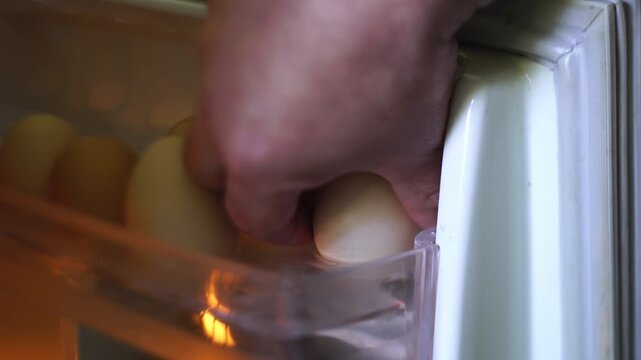 open topen the refrigerator and take the eggshe refrigerator and take the eggs