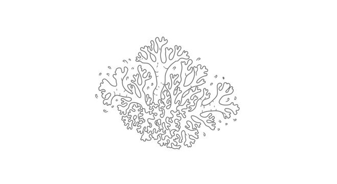 Lichen illustration, detailed outline drawing of a fractal plant-like organism on white background