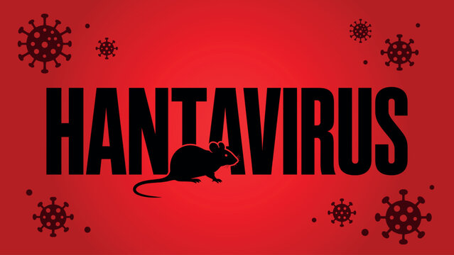 Hantavirus medical awareness vector banner with black mouse silhouette, red public health alert background, virus particles, large headline, zoonotic infection and disease prevention concept