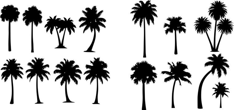 Collection of various palm tree silhouettes on a white background, ideal for tropical designs.