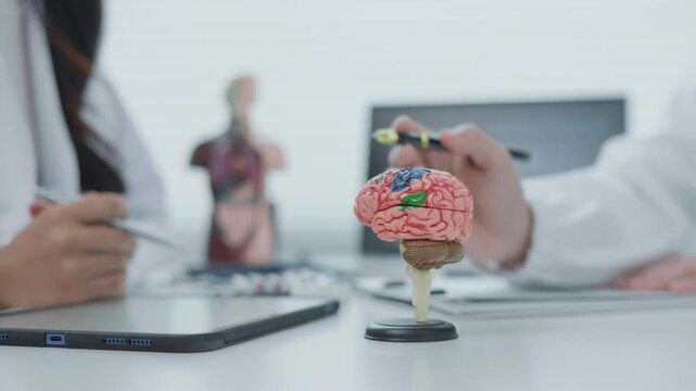 Nervous System Examination Medical Office Educational Content Clinical Environment Close-Up View Understanding Brain Function