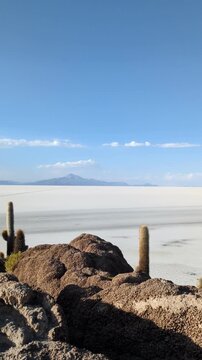 Panoramic view of Salar de Uyuni salt flat from Incahuasi Island in Bolivia, scenic white salt desert landscape with giant ancient cactus growing on volcanic rocks under a bright blue sky