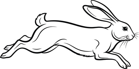 Rabbit Running Jumping Rabbit animal, nature, easter, bunny, minimalist, black and white, coloring book, drawing,  © Rimi