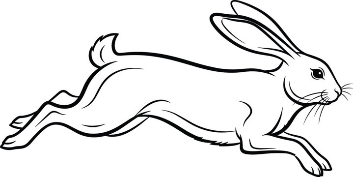 Rabbit Running Jumping Rabbit animal, nature, easter, bunny, minimalist, black and white, coloring book, drawing, 
