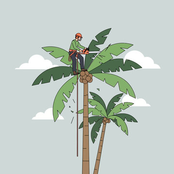 Arborist Cutting Palm Tree With Chainsaw - Tree Care and Maintenance