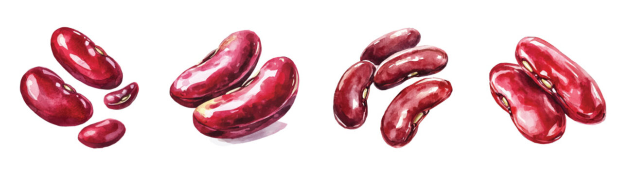 Collection of red kidney bean paintings, Minimal yet artistic elements for creative designs. hand-drawn paint, Simple Illustration, EPS format, isolated on a white background, watercolor illustration