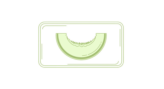 Fresh Melon Slice Icon in a Rectangle Frame, Healthy Food Graphic