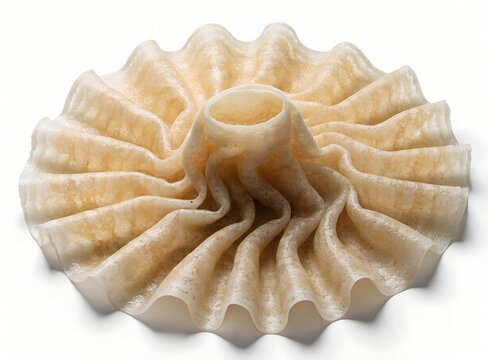 neer dosa soft rice crepe top view
