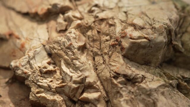 Close-up dry rock surface with layered cracked earthy texture