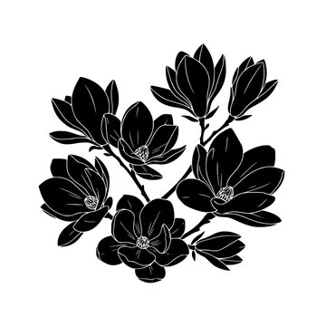 Magnolia flower branch silhouette illustration with white line detail on white background