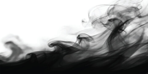 Elegant black and white smoke flows in a magic ink wave, creating a flower pattern with artful motion and light curves © Hena Akter